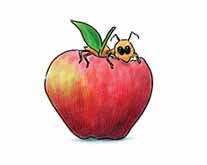 apple