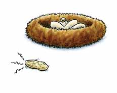 nest