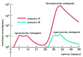 Εικόνα 1.26: Το διάγραμμα δείχνει την πρωτογενή και δευτερογενή απόκριση.