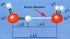 ΣΧΗΜΑ 1.4 Απεικόνιση με μοριακά μοντέλα του δεσμού Η, που αναπτύσσεται μεταξύ δύο μορίων Η2Ο.