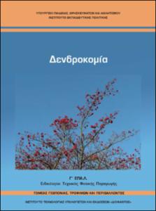 εικονίδιο