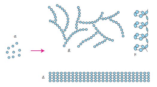 Εικ. 1.3 Πολλά μόρια γλυκόζης (α) ενώνονται με χημικούς δεσμούς και σχηματίζουν: γλυκογόνο (β), άμυλο (γ) και κυτταρίνη (δ).