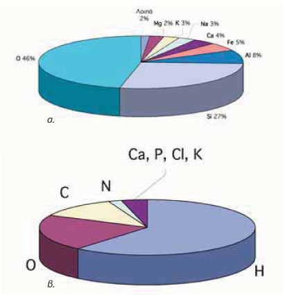 Εικ. 1.1 Η κατανομή των στοιχείων: (α) στο φλοιό της Γης και (β) στον άνθρωπο.