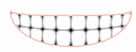teeth