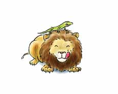 lion