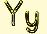 Y y