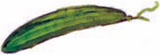 eikona006