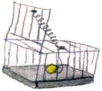 eikona422