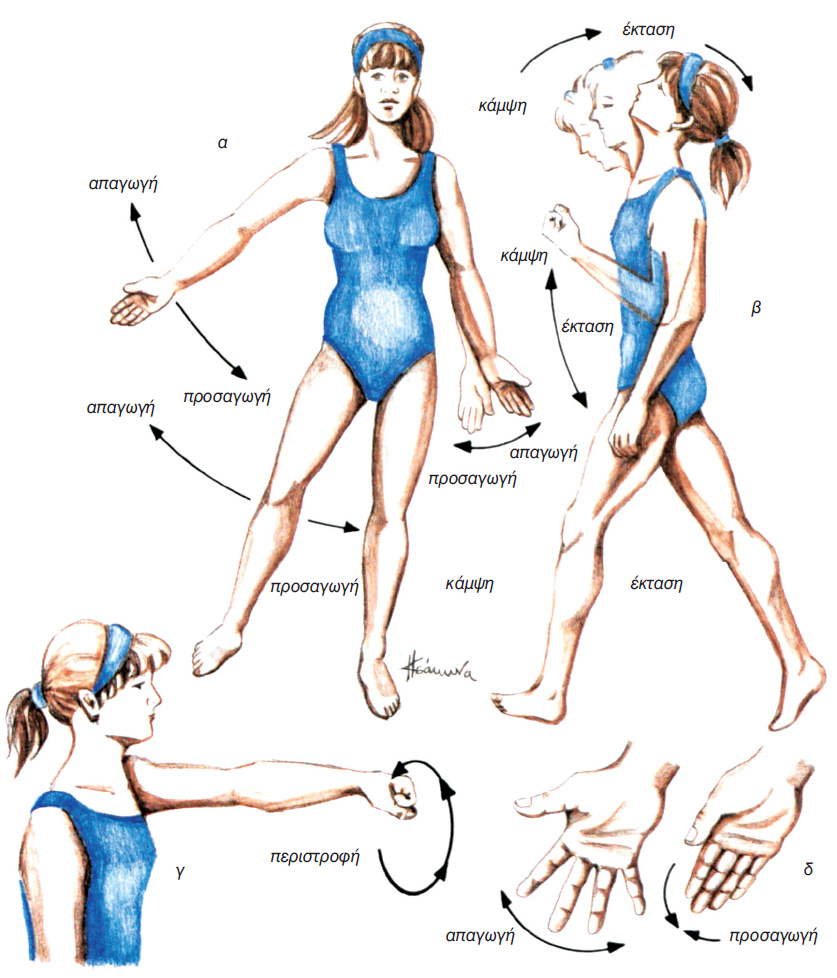 εικ. 7.9 Κινήσεις διάρθρωσης