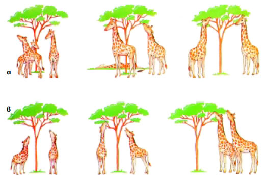 Εικόνα 3.9: α) Θεωρία Δαρβίνου, β) θεωρία Λαμάρκ