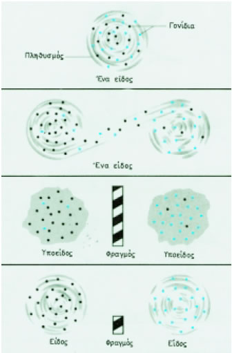 Εικόνα 3.11: Απλό μοντέλο ειδογένεσης