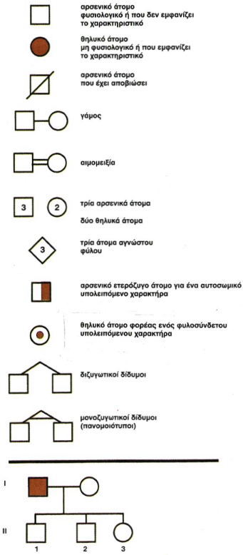 Εικόνα 5.10