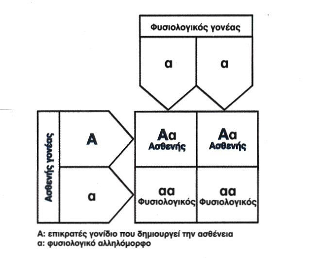  Εικόνα 5.13