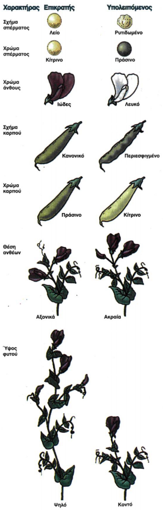 Εικόνα 5.1