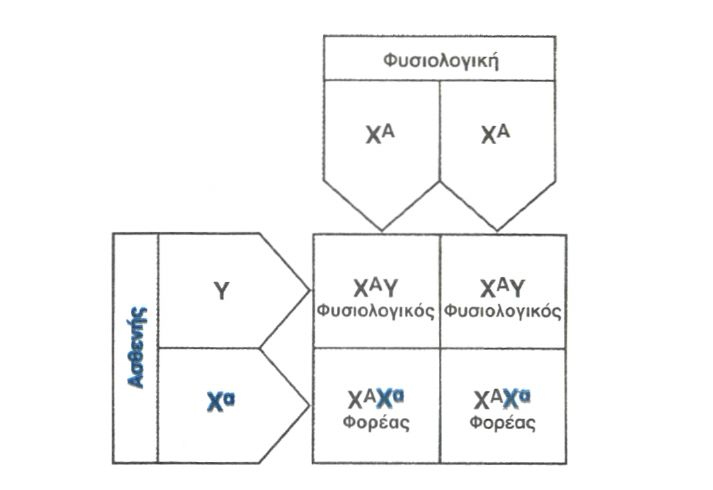  Εικόνα 5.17