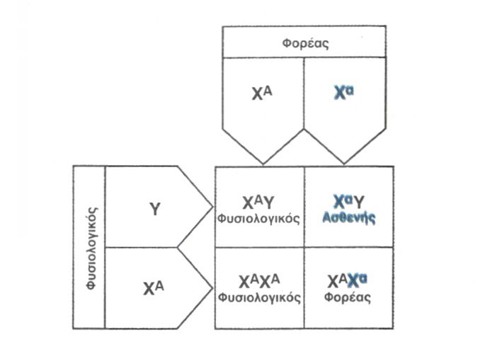  Εικόνα 5.18