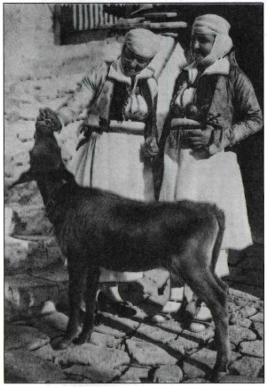 Εικόνα
